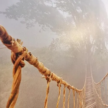 Apartman Bulles De Sommeil - Cozy - Rbnb